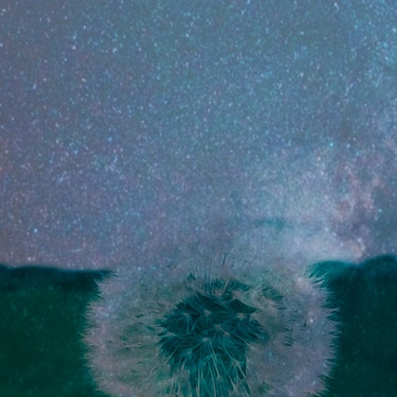 Meet your Posher, Adam - Picture 1 of 1